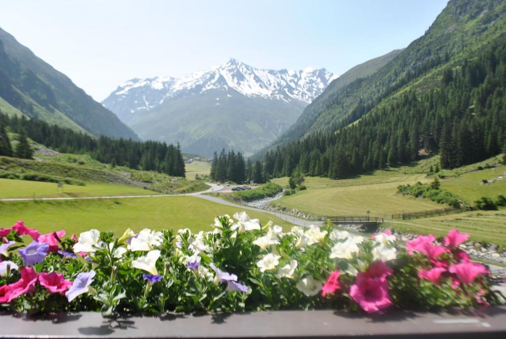 Bed and Breakfast Haus Margret à Sankt Leonhard im Pitztal Chambre photo